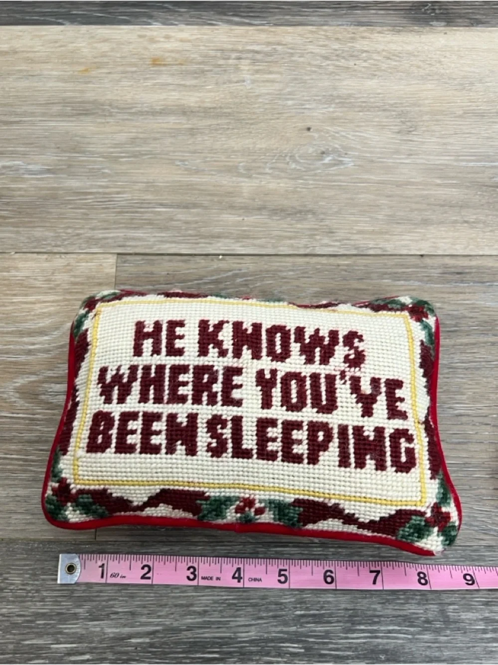 He knows where you’ve been sleeping needle point pillow